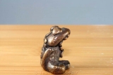 Luang Pho Sangaa Phra Pidta Goob Loo Boran Thai Amulet 1990