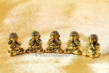 Luang Phu Kambu Amulett Set Gammagarn NUR 399 Sets